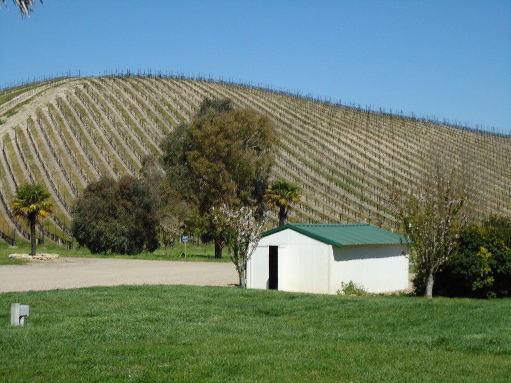 L'Aventure Vineyards on the rolling hills of the Santa Lucia Ranges in Paso Robles