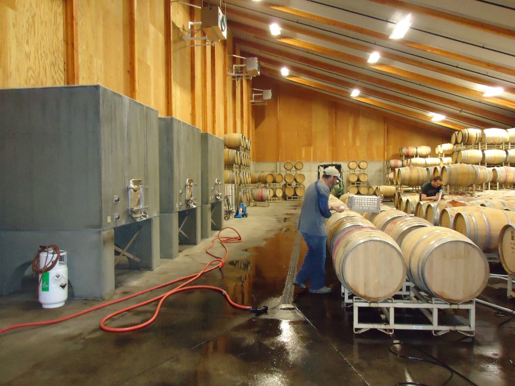 Matt Trevisan at Linne Calodo in the process of blending his wines