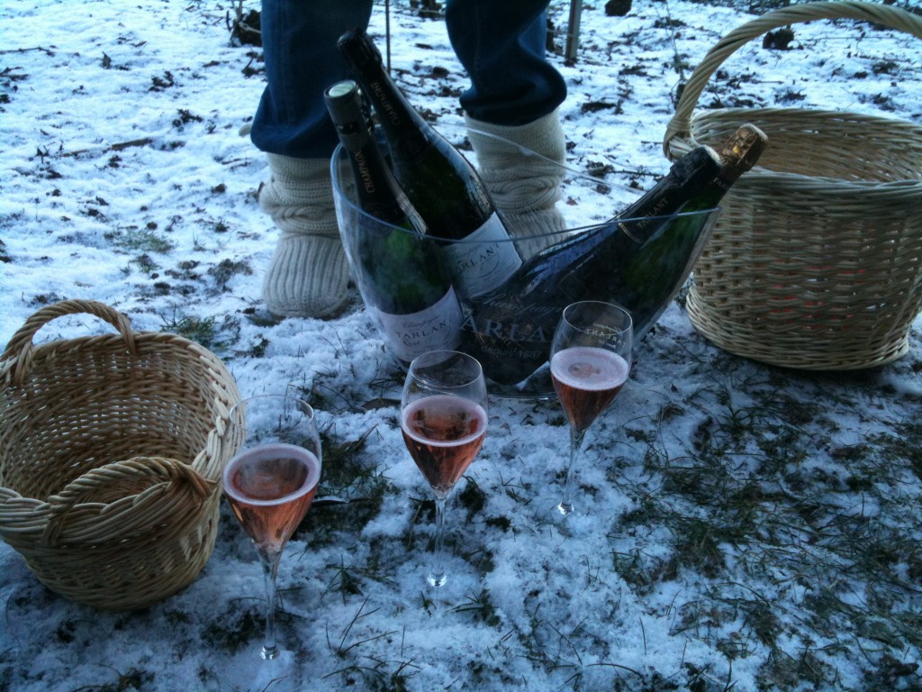 Picnic Tasting in the Snow organised by Melanie Tarlant