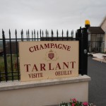 Champagne Tarlant in Oeuilly