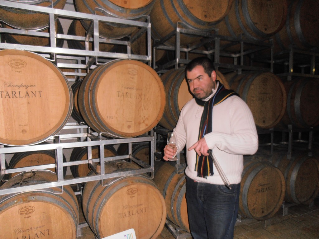 Cellar visit and tasting different base wines with Benoit Tarlant