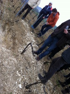 Soil composition in one of the Laherte's vineyards