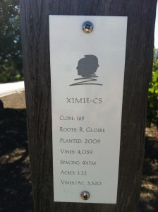 Vineyard markers at Opus One