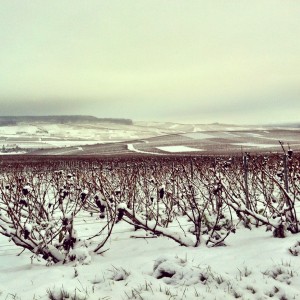 Hautvillers in the snow