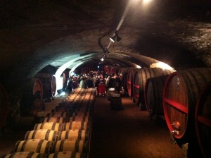Old vintage  Beaujolais tasting in the cellars of the Chateau de la Chaize