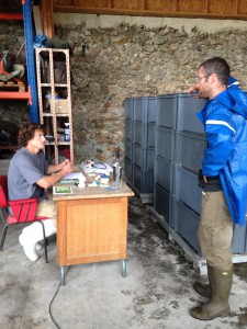 Aurélien and Emilien discussing grape and wine deliveries