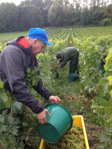 David working with his pickers 