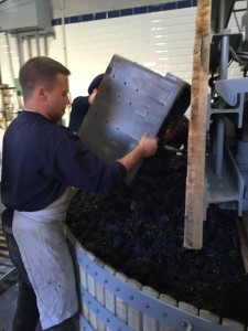 Loading the press at  Champagne Geoffroy