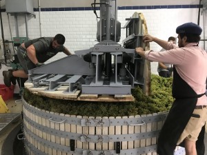 Pressing Chardonnay at Champagne Geoffroy